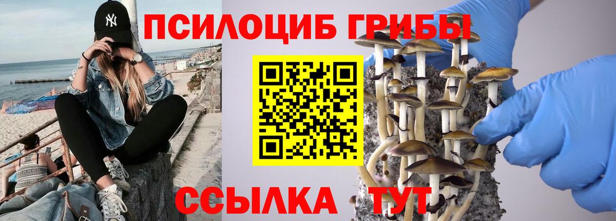 Галлюциногенные грибы мицелий  Галлюциногенные грибы мицелий  Джанкой  Вход с VPN 