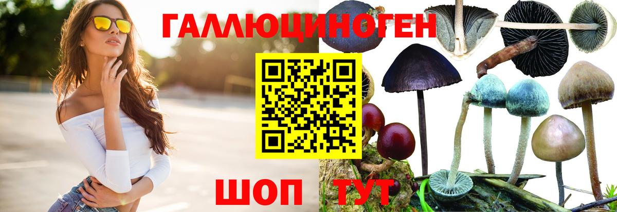 Псилоцибиновые грибы мицелий Джанкой