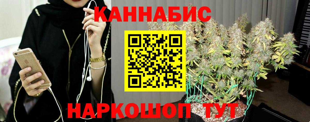 Конопля Bruce Banner  Конопля план  Джанкой  Вход с VPN  Каннабис конопля  Конопля ГИДРОПОН 